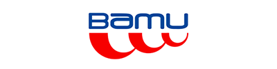 bamusteelworks_logo